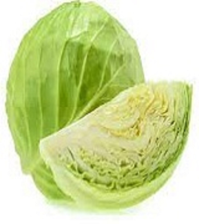 முட்டைகோஸ் / cabbage